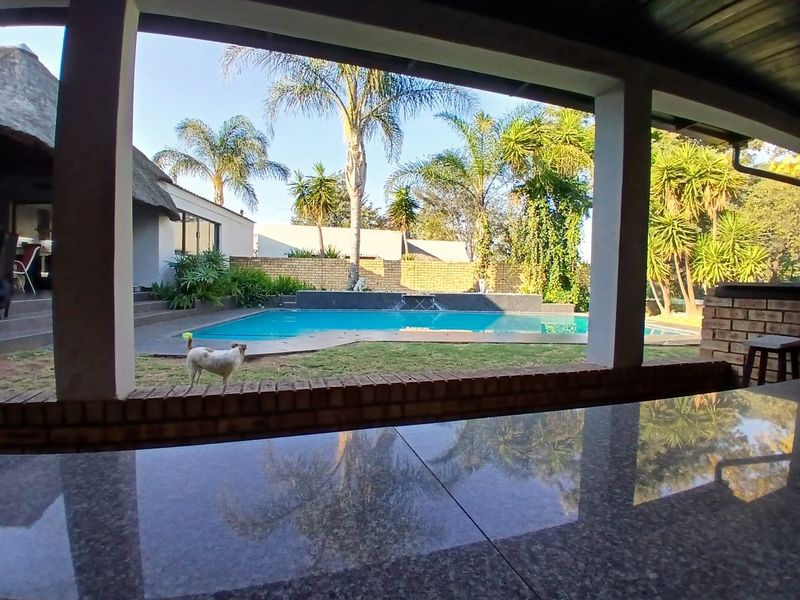 Dreams do come true. - Photo 7