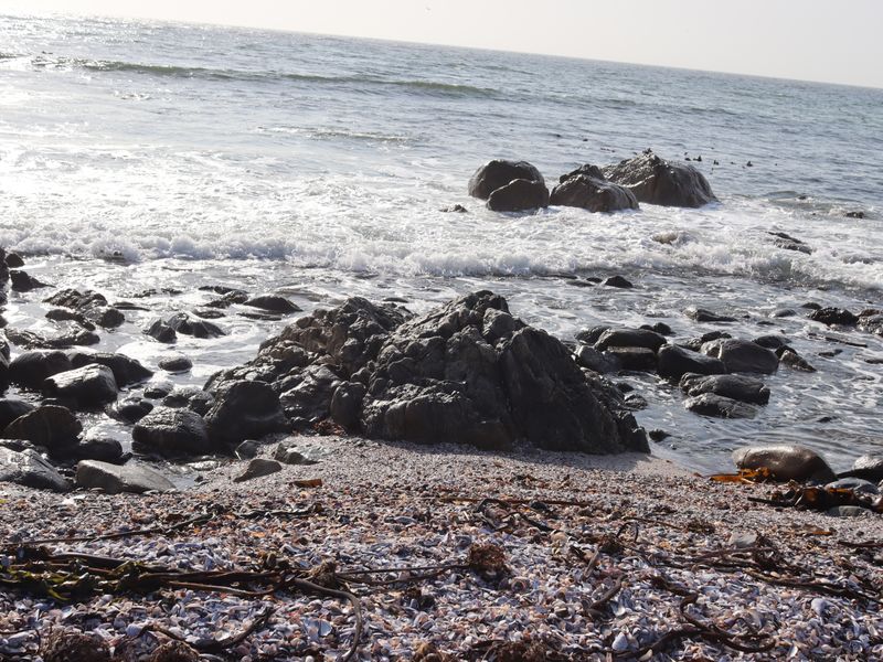 Vacant land for Sale in Da Gama Bay - Photo 8