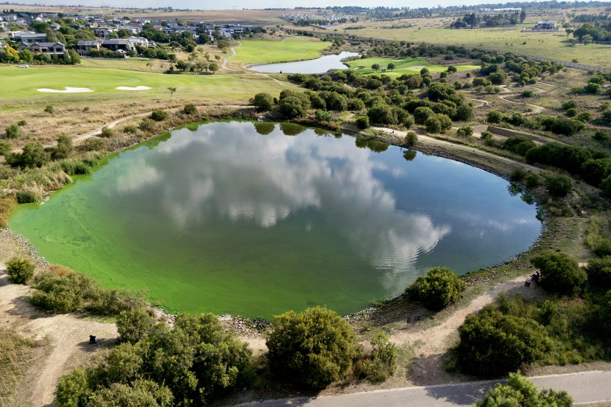Exclusive Plot for Sale in Copperleaf Estate, Centurion - Photo 4