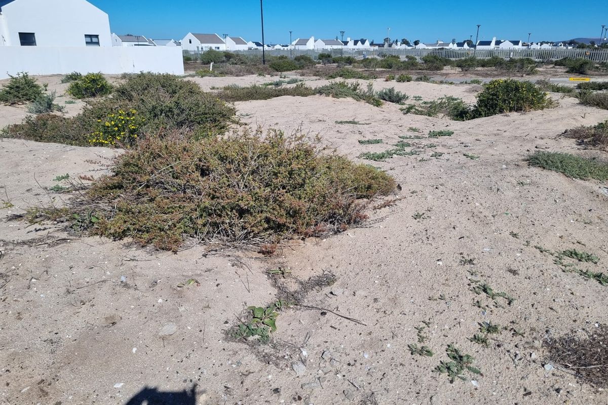 Your Beachside Paradise Awaits in Atlantic Sands North - Photo 4