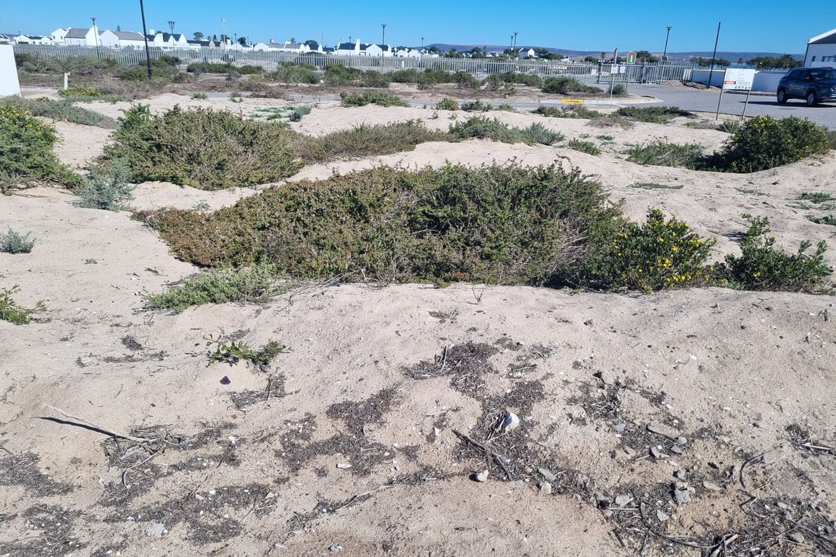 Your Beachside Paradise Awaits in Atlantic Sands North - Photo 3