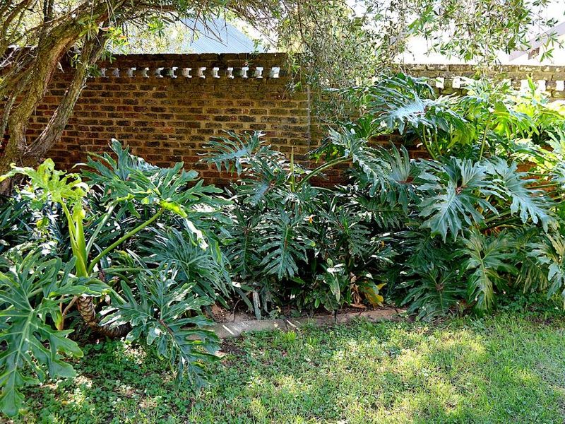 Spacious Family Home with Ample Parking and Garden - Photo 5