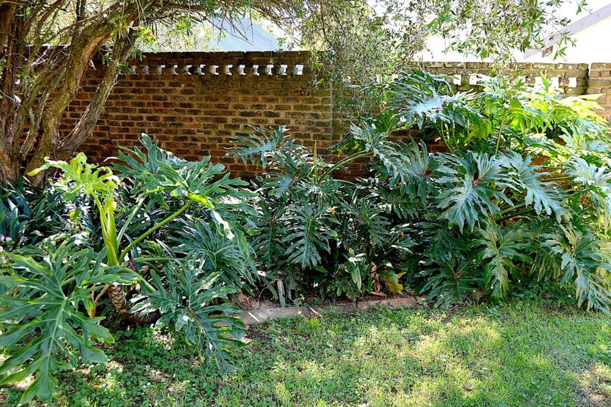 Spacious Family Home with Ample Parking and Garden - Photo 5