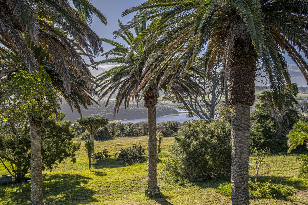 A rare lifestyle offering, or an exceptional investment opportunity. - Photo 4