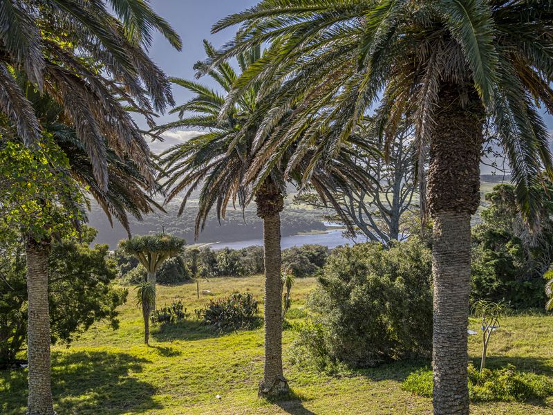 A rare lifestyle offering, or an exceptional investment opportunity. - Photo 4