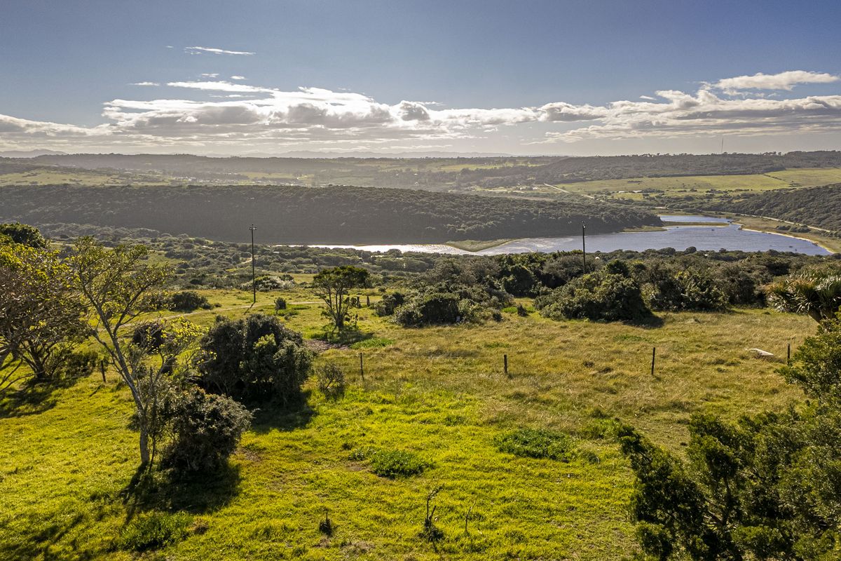 A rare lifestyle offering, or an exceptional investment opportunity. - Photo 2