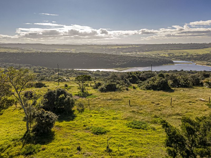 A rare lifestyle offering, or an exceptional investment opportunity. - Photo 2