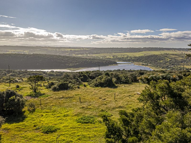 A rare lifestyle offering, or an exceptional investment opportunity. - Photo 10