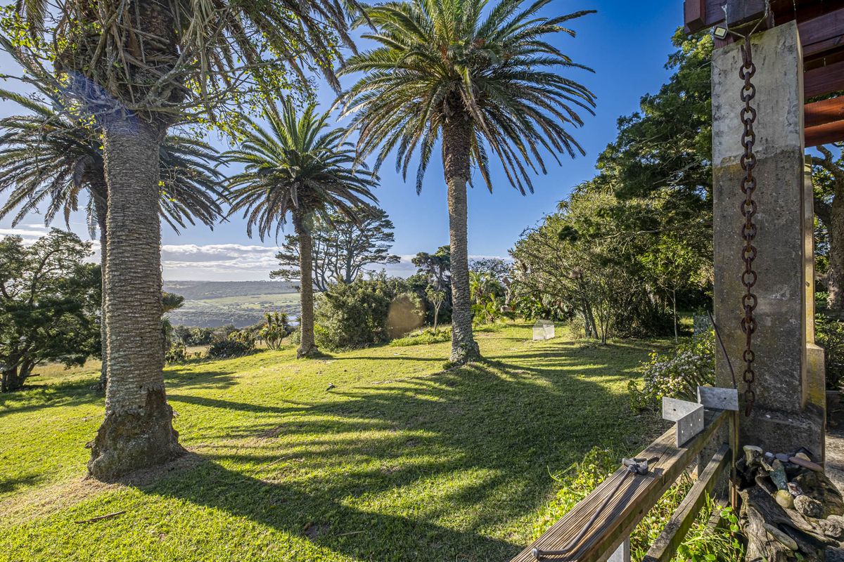 A rare lifestyle offering, or an exceptional investment opportunity. - Photo 5