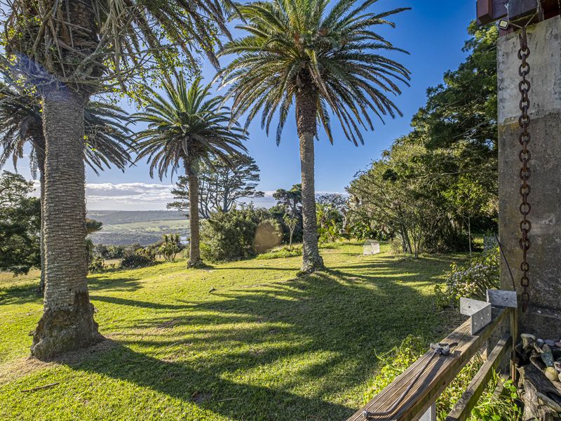 A rare lifestyle offering, or an exceptional investment opportunity. - Photo 5