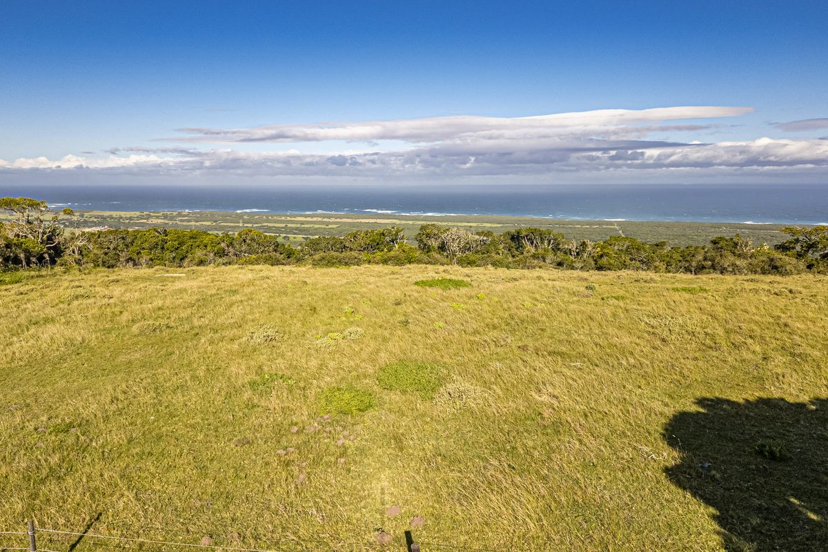 A rare lifestyle offering, or an exceptional investment opportunity. - Photo 3