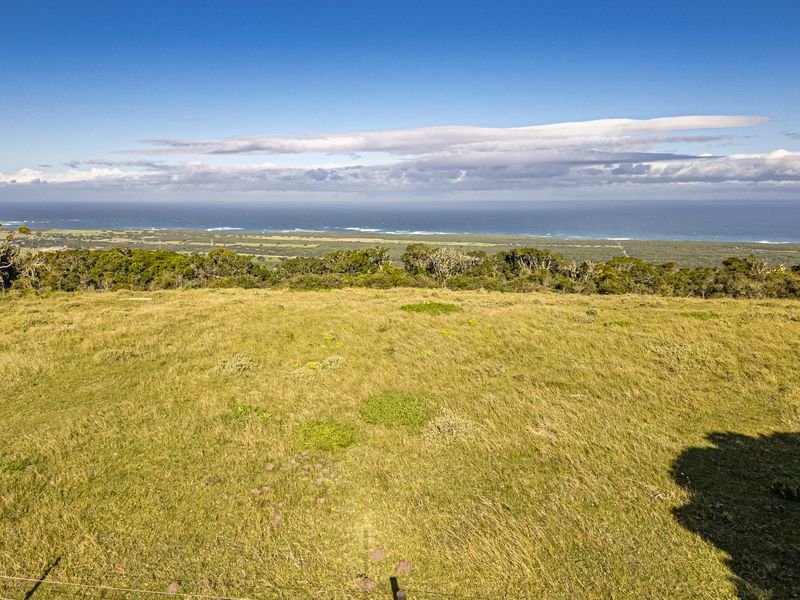 A rare lifestyle offering, or an exceptional investment opportunity. - Photo 3