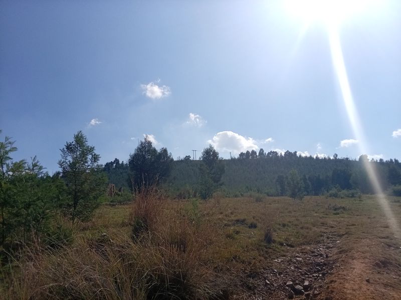 A scenic view of the natural landscape featuring open grassland and surrounding trees under a bright sky.
