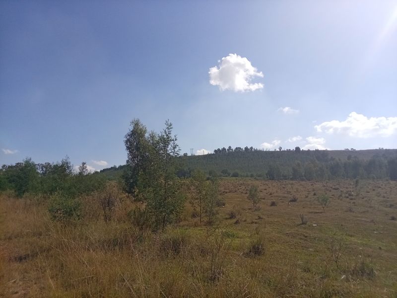 A wide-angle view of a vacant residential land plot featuring natural grassland and scattered trees under a clear blue sky.