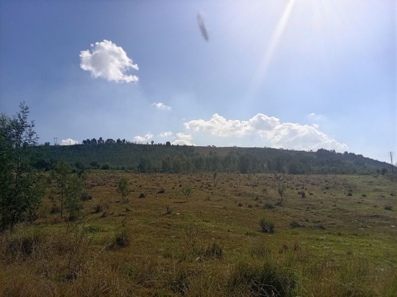 A wide-angle view of the vacant residential land, featuring open grassy terrain and a distant treeline under a clear blue sky.