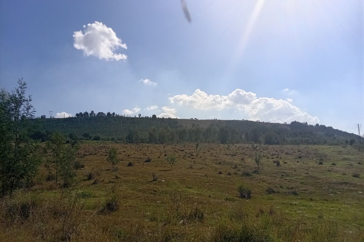 A wide-angle view of the vacant residential land, featuring open grassy terrain and a distant treeline under a clear blue sky.