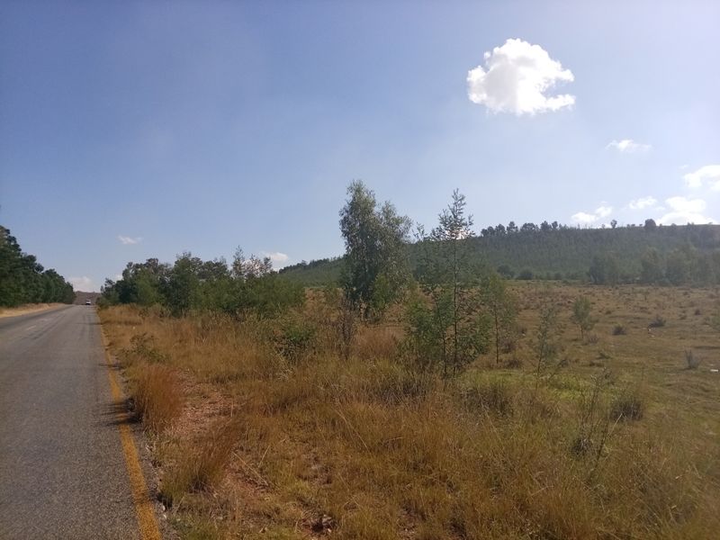 A view of the vacant residential land adjacent to an asphalt road, featuring natural grassland and scattered trees.