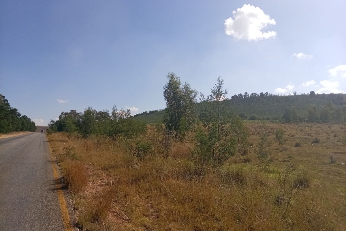A view of the vacant residential land adjacent to an asphalt road, featuring natural grassland and scattered trees.