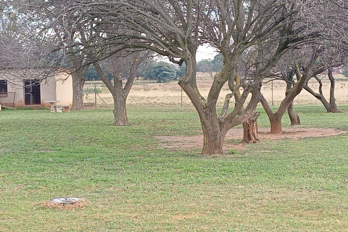 A spacious garden area featuring mature trees, established lawn, and perimeter fencing on a farm property.