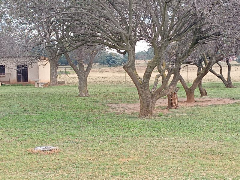 A spacious garden area featuring mature trees, established lawn, and perimeter fencing on a farm property.