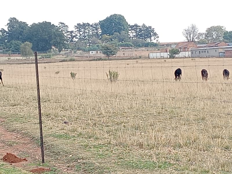 A view of the farm landscape featuring open grazing fields enclosed by wire fencing with distant outbuildings visible.
