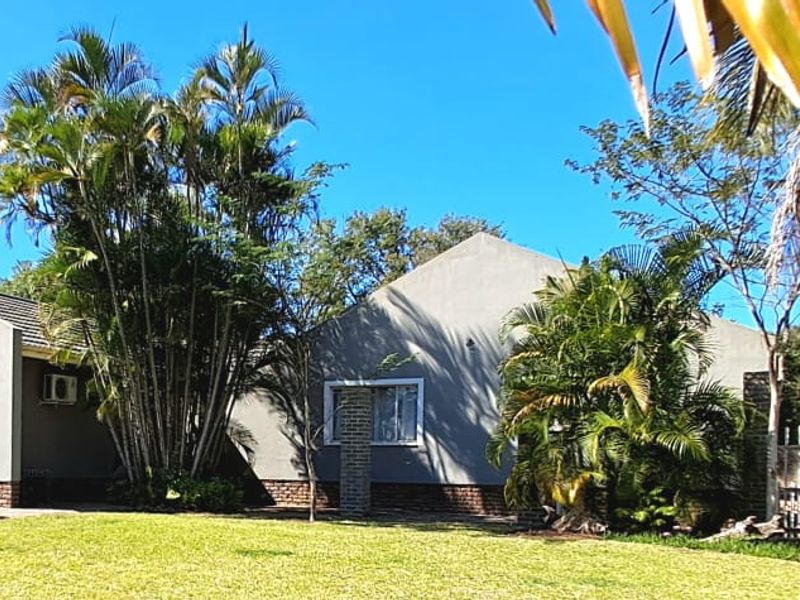 Rear view of the property featuring a plastered facade, tiled roof, and a well-maintained garden area with mature palm trees.