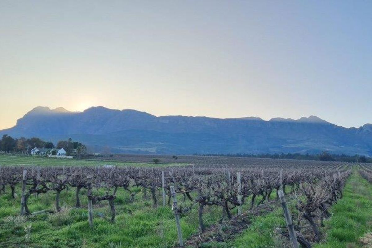 3 X WATER RICH FARMS - Photo 2