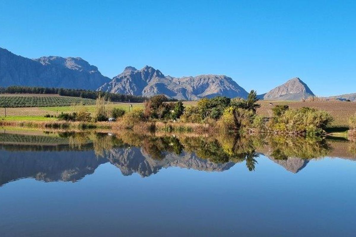 3 X WATER RICH FARMS - Photo 5