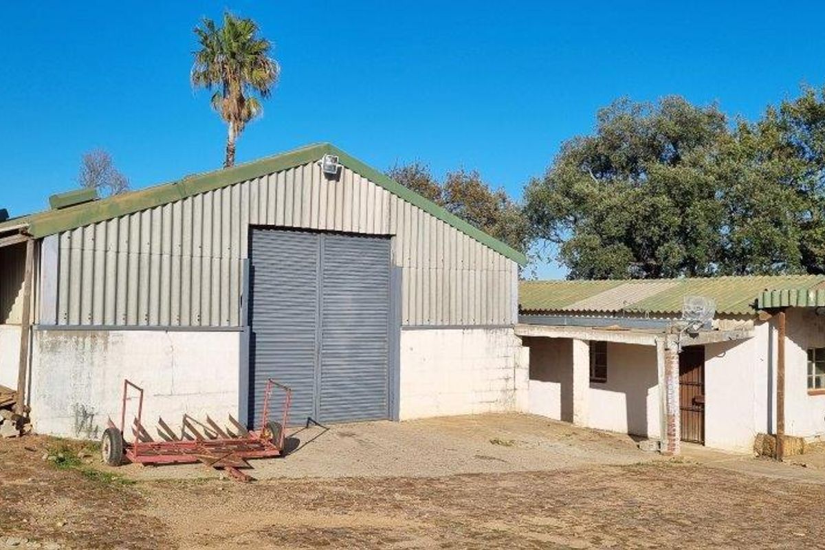 3 X WATER RICH FARMS - Photo 4