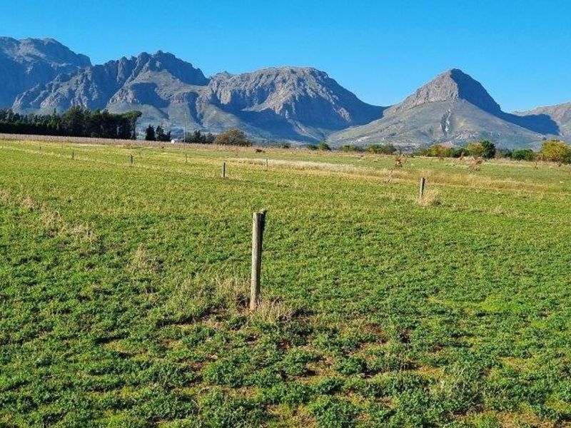 Expansive farm pasture featuring post and wire fencing with scenic mountain range views in the background.