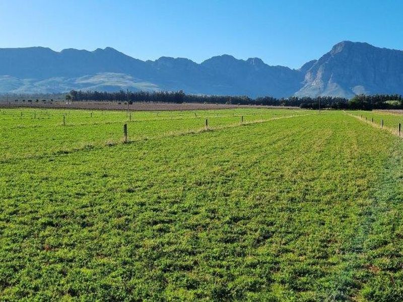 Expansive green pasture land on a farm setting, featuring perimeter fencing and scenic mountain views in the background.