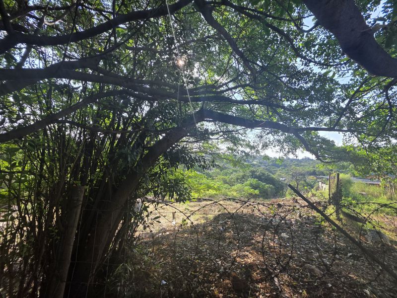 Prime 5918sqm Development Land in Astra Park, Kingsburgh – A Rare Opportunity! - Photo 6