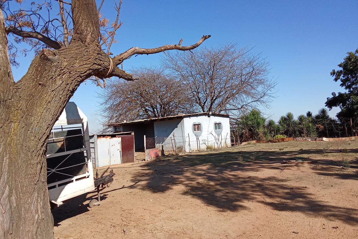 View of a small outbuilding on a rural small holding, featuring a simple structure with a corrugated metal roof and surrounding dirt yard.