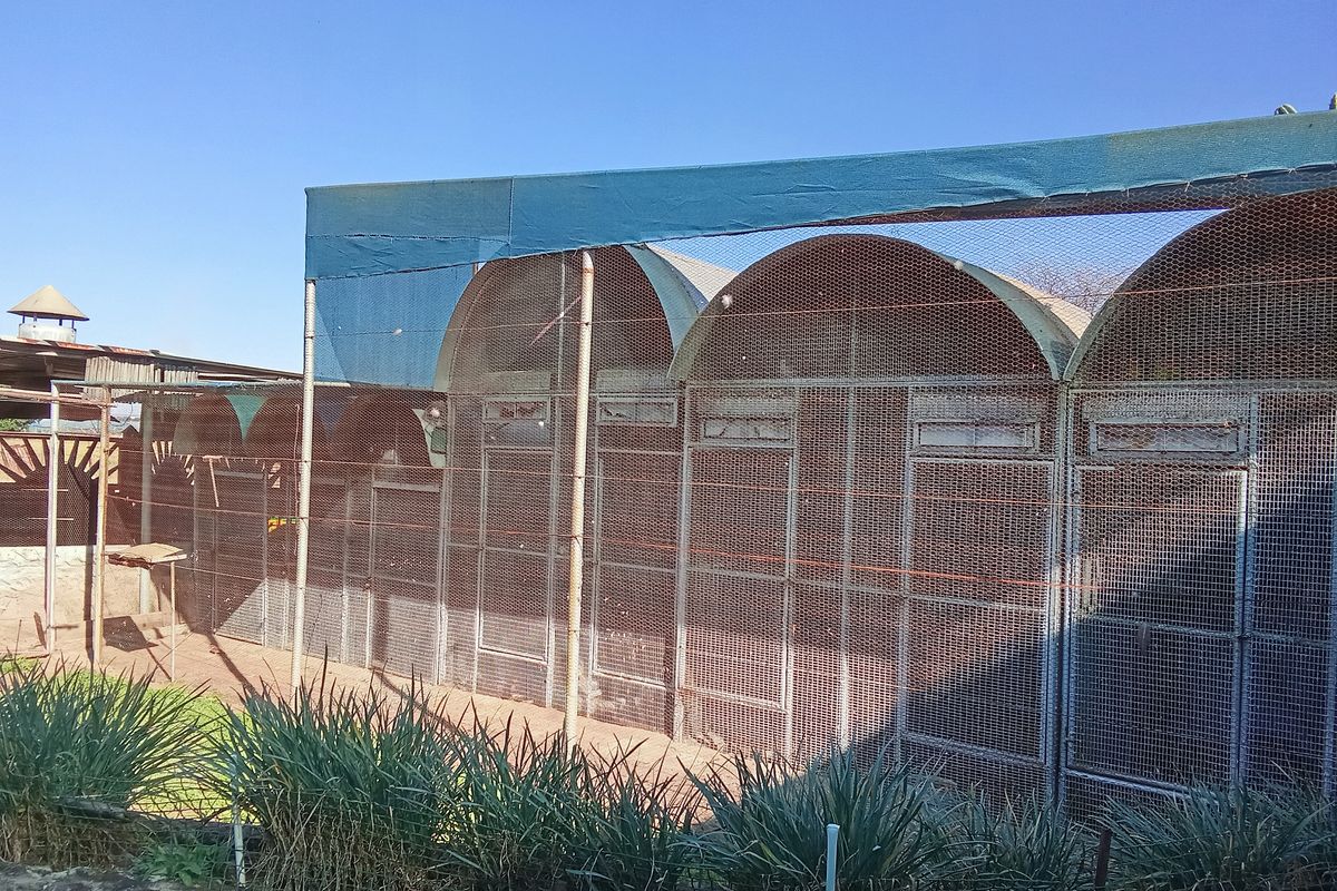 3 bedroom farm for sale in Houtkop AH, Vereeniging offering comfort and convenience - Photo 3