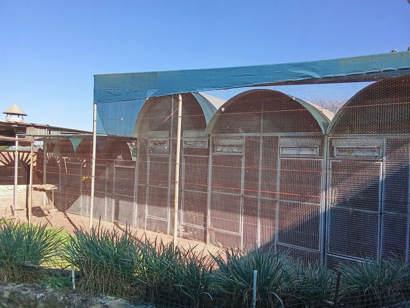 3 bedroom farm for sale in Houtkop AH, Vereeniging offering comfort and convenience - Photo 3