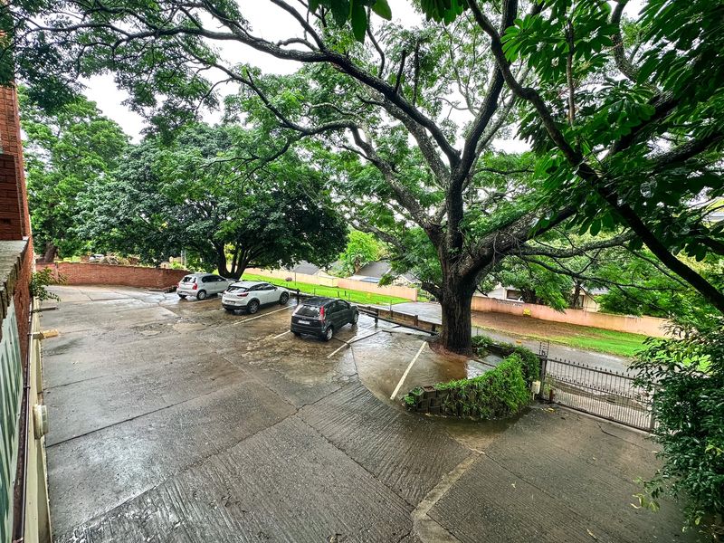 An elevated view of the apartment complex driveway featuring concrete paving, mature trees, and a secure metal entrance gate.