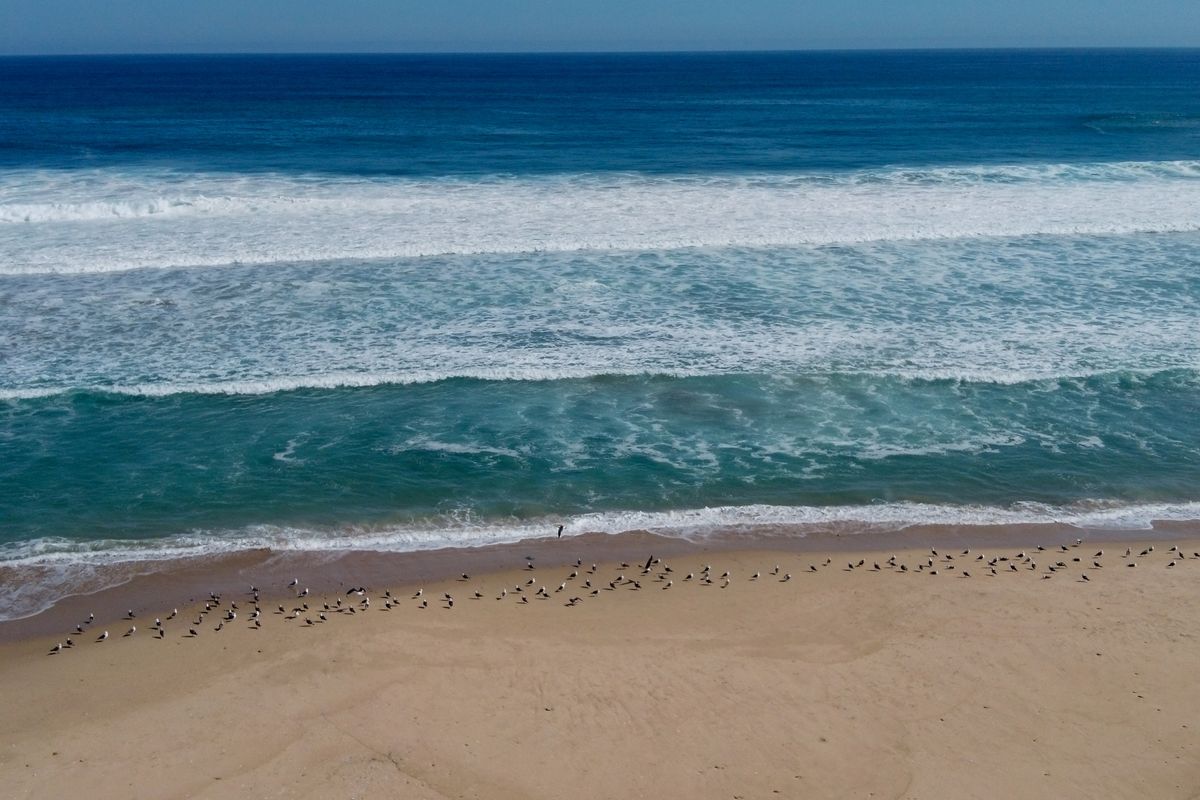 New release – Authentic beachfront living at Its best - Photo 5