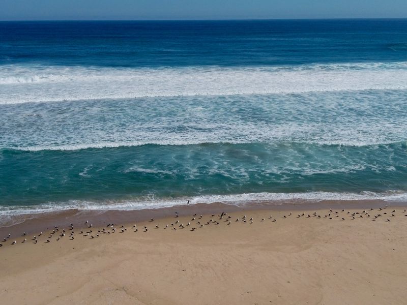 New release – Authentic beachfront living at Its best - Photo 5
