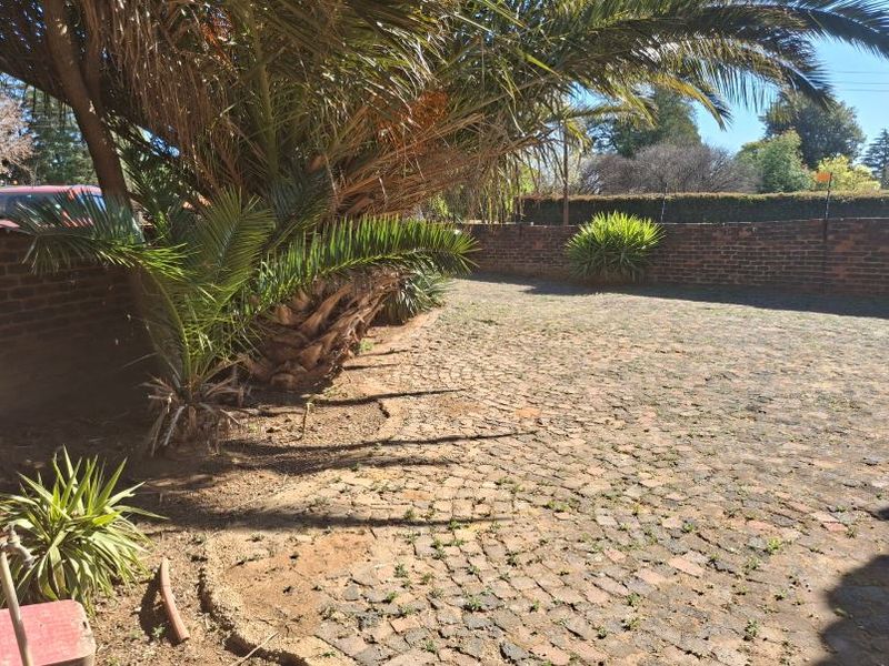 A private rear garden area featuring a brick boundary wall and established cobblestone paving with mature palm trees.