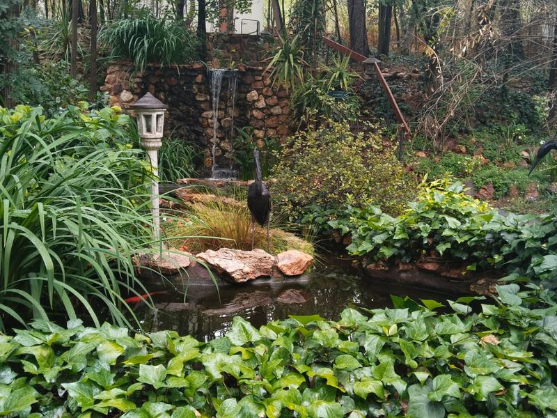 Exclusive Business & Lifestyle Estate in the Crocodile River Reserve - Photo 10