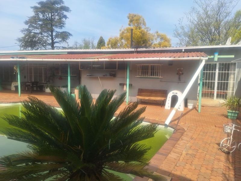 Outdoor pool area featuring a covered patio with brick paving and security bars on windows, requiring maintenance to the pool and exterior finishes.