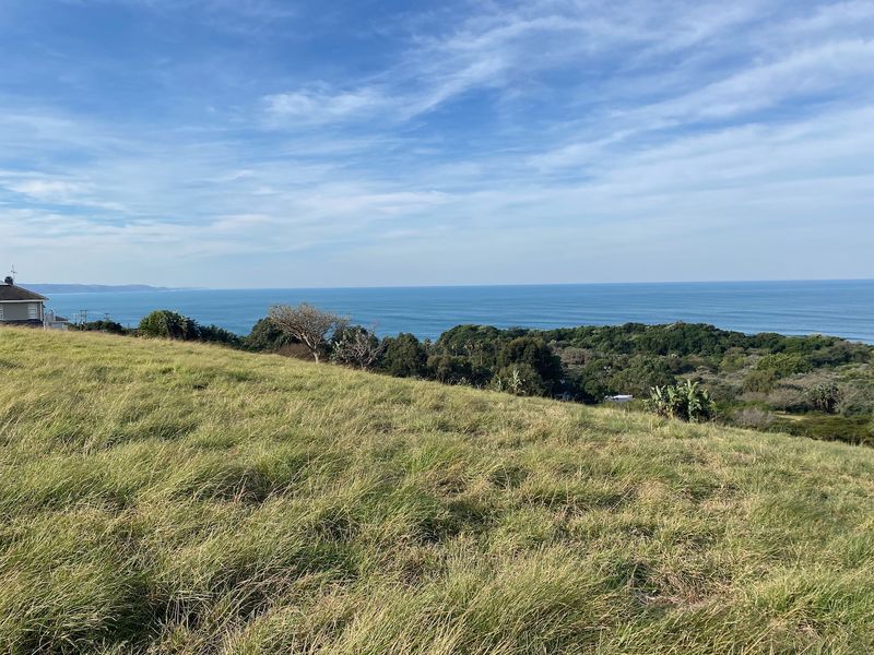 Guaranteed Sea View Plot - Photo 1