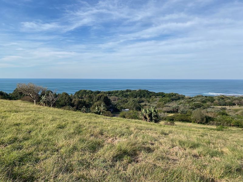 Guaranteed Sea View Plot - Photo 10