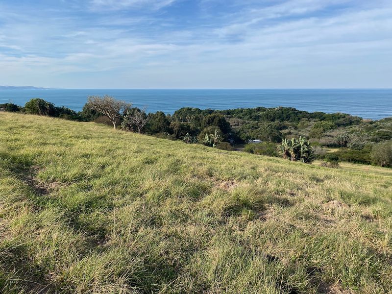 Guaranteed Sea View Plot - Photo 9