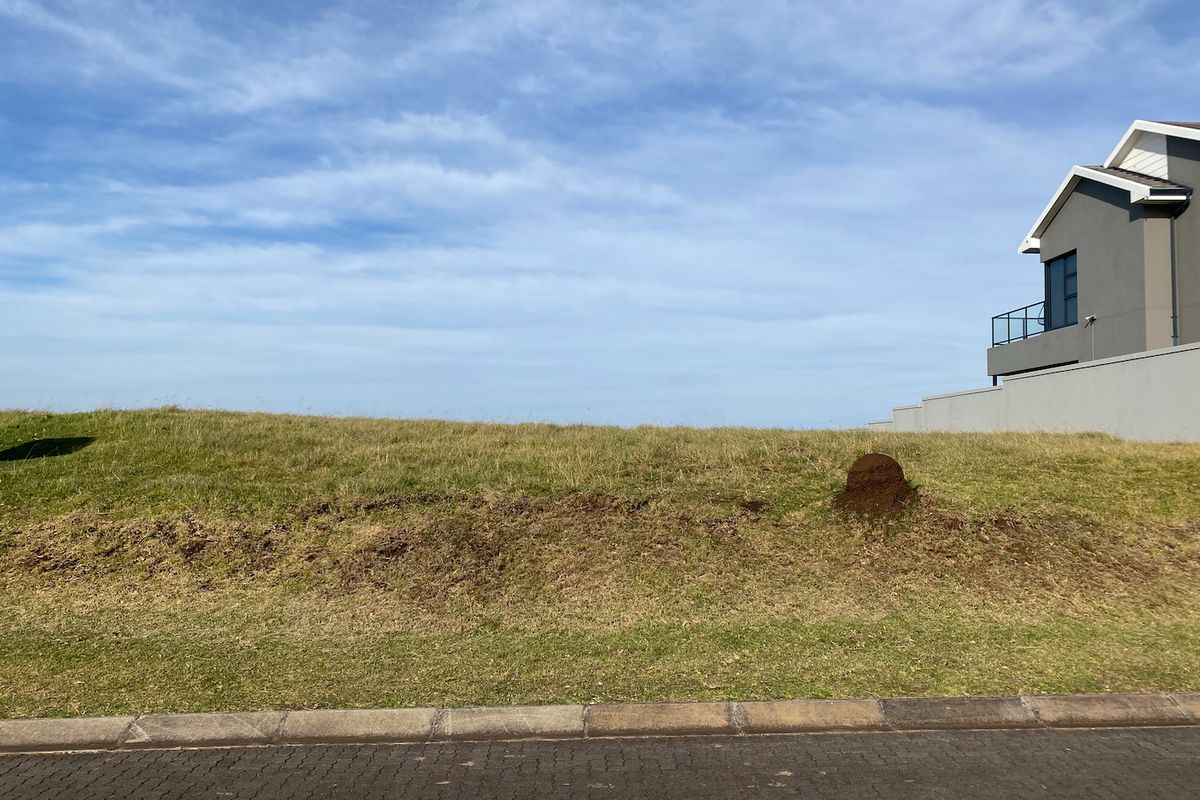 Guaranteed Sea View Plot - Photo 4