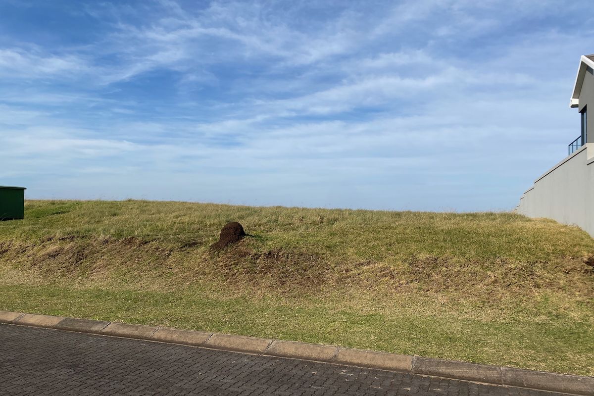 Guaranteed Sea View Plot - Photo 5