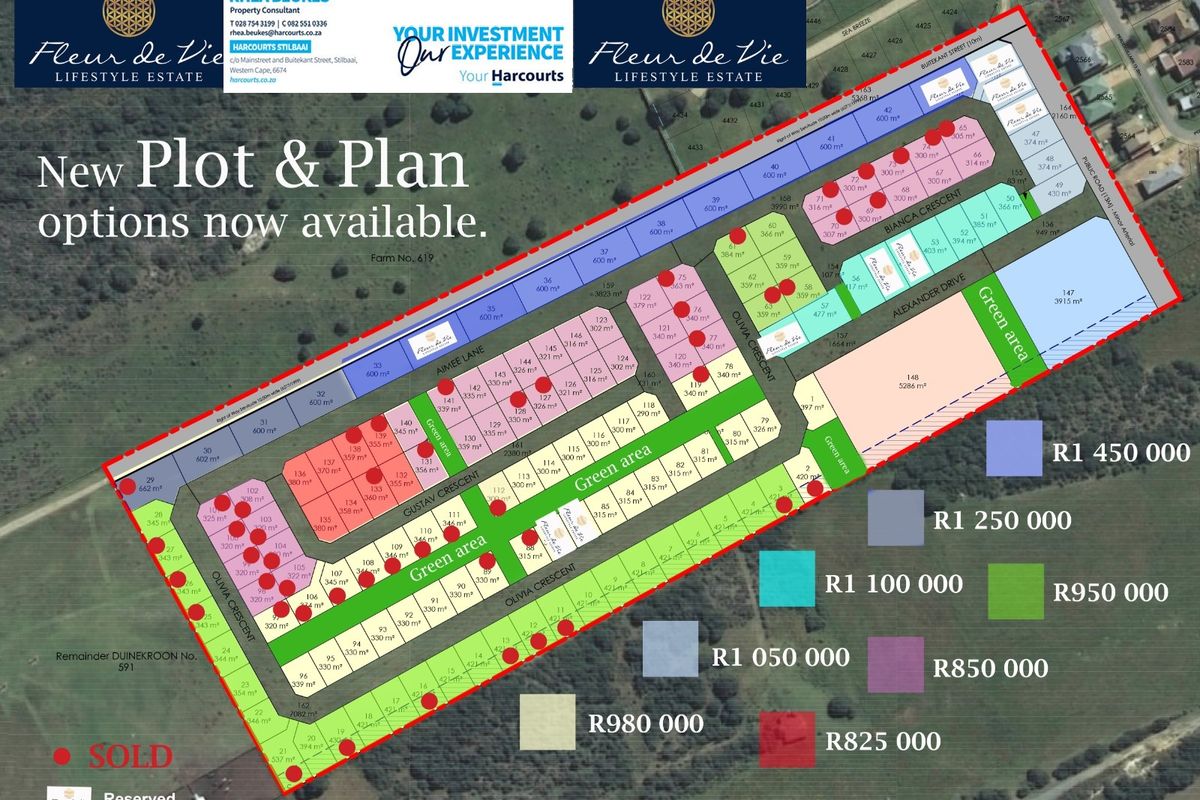 Life Lightly, Live Fully - Photo 2
