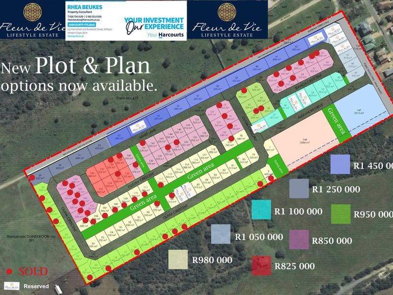 Life Lightly, Live Fully - Photo 2