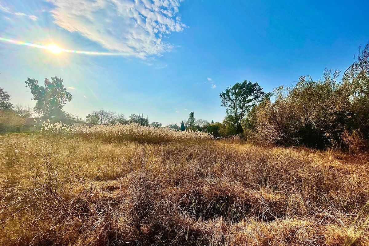 Large vacant stand for sale in Parys - Photo 3
