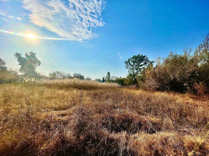 Large vacant stand for sale in Parys - Photo 3